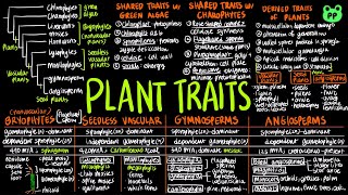 Plant Phylogeny amp Traits  Plants 01  Biology  PP Notes  Campbell 8E Ch 2930 [upl. by Teirrah]