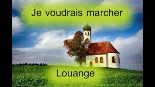 Je voudrais marcher  N°163 [upl. by Iemaj]