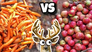 Do DEER Like CARROTS or APPLES More [upl. by Talley]