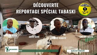 MAGAZINE DECOUVERTE  Spécial Tabaski avec les spécialistes de lèlevage Abou Kane Ciré Diakité [upl. by Amarillis866]