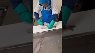 Haddock fish filleting single filets [upl. by Anderea]