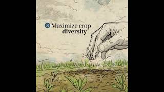 6 Principles Of Regenerative Agriculture  Louis Dreyfus Company shorts [upl. by Gnaoh]