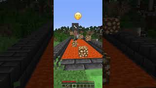 Why He Was Scared of Chase meme shorts minecraft [upl. by Odrick]