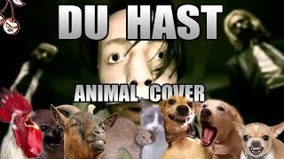 Rammstein  Du Hast Animal Cover [upl. by Irbmac413]