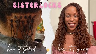 Sisterlocks Journey 10 Year Update Installation Hair Phases Retightening Routine Colour [upl. by Althee]