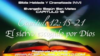 SAN MATEO  Capitulo 12 BIBLIA HABLADA Y DRAMATIZADA NVI [upl. by Vannie]