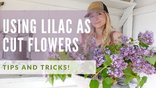 How to cut lilacs and make them into a centerpiece [upl. by Nell639]