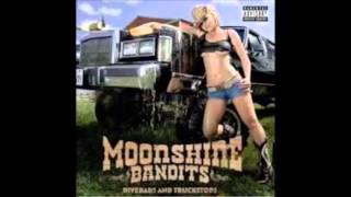 moonshine bandits arrest me [upl. by Innor]