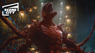 Venom Let There Be Carnage Prison Break HD MOVIE CLIP  With Captions [upl. by Eirroc]