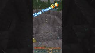 Baumeister Pro 😂 minecraft ps5 funny random roxastv gaming trend fyp viralvideo hit lol [upl. by Alisha]