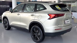 GWM Haval H6 2024 indepth Walkaround [upl. by Peednus]