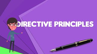 What is Directive Principles Explain Directive Principles Define Directive Principles [upl. by Massey839]