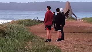 Kurnell Point seals at play 18th July 2020 [upl. by Tressa]