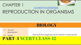 Part4 REPRODUCTION IN ORGANISMS chapter1 NCERT class 12th biology [upl. by Tiertza]