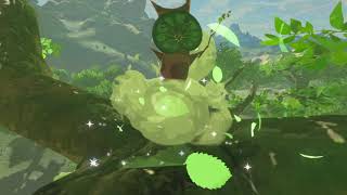 Korok seeds  Dalite Forest  Ridgeland Tower 6063  Zelda BOTW [upl. by Hamner332]