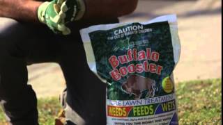 How to control broadleaf weeds using Munns Buffalo Booster Triple Lawn Treatment with Anthony Scott [upl. by Hcire]