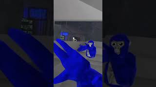 im a beatboxing blue berry gorilla gorillatag gtag vr oculus monke gorillatagfun funny [upl. by Damara]