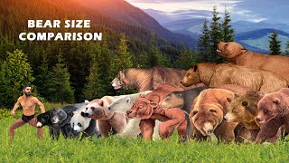 Bear Size Comparison Living and Extinct  Bear Evolution  Prehistoric Animals  The Largest Bear [upl. by Moht170]