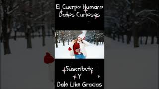 10 Datos sobre el Cuerpo Humano Shorts [upl. by Ahsocin]