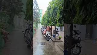 Barish ban jana song jubinnautiyal newsong mosam rain barish sawan romamtic [upl. by Anekam31]