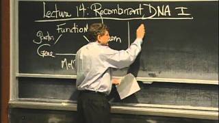 Overview of Recombinant DNA excerpt 1  MIT 701SC Fundamentals of Biology [upl. by Ettegirb]