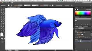 Adobe Illustrator CC Tutorial  Creating Multiple Views [upl. by Bethanne]