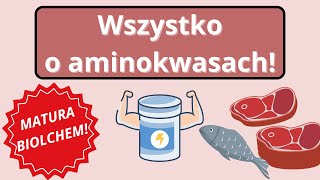 Wszystko o aminokwasach dla biolchema 😎 [upl. by Kammerer]