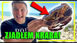 HIT Jak smakuje KRAB Jak zjeść kraba Portugalski przepis  jak jeść owoce morza  how to eat crab [upl. by Mosra]