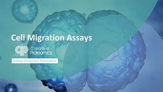 Cell Migration Assay [upl. by Ahsilaf]