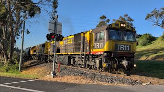 TasRail TR11 2053 55 train crossing Opossum Road [upl. by Anaigroeg]