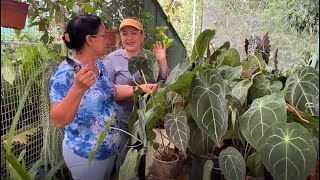 Vivero de Orquídeas bromelias y Plantas Exóticas [upl. by Rawden757]