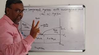 Two component system with incongruent point NaK system [upl. by Nikal]