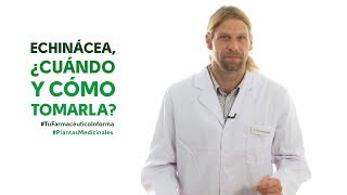 Echinácea cuándo y cómo tomarla Tu Farmacéutico Informa  PlantasMedicinales [upl. by Laersi]