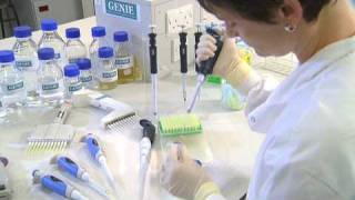 Using a Micropipette  University of Leicester [upl. by Piegari]