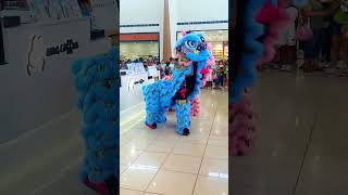 Blue and Pink Lion Dance [upl. by Nakre]