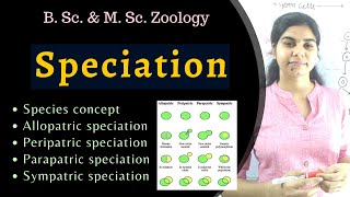 Speciation  types  Evolution  B Sc amp M Sc Zoology [upl. by Yednarb388]