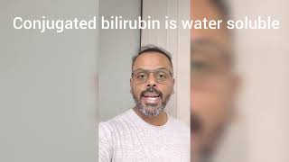 All About Bilirubin In 1 Minute  Rapid Revision of Bilirubin  Biochemistry Rapid Revision Series [upl. by Patric]