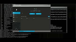 Bitnet IO with Quantum framework hopefully soon prototype video 07222024 [upl. by Ario]