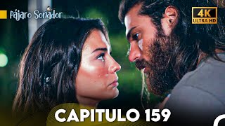 Pájaro Soñador Capítulo 159 Doblado En Español 4K [upl. by Mears]