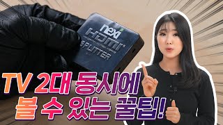 2분 꼼수 셋톱박스 추가 비용 없이 tv 2대 보기 [upl. by Edrea]