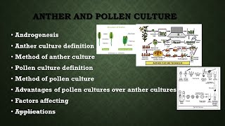 Anther and pollen culture  Androgenesis  Plant tissue culture  AZ Concepts guide [upl. by Ingeborg]