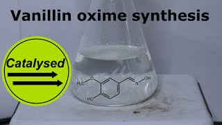 Testing my hydroxylamine  Synthesis of Vanillin oxime [upl. by Goodrow]