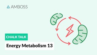 Energy Metabolism  Part 13 Fatty Acid Synthesis with molecular structures [upl. by Suhploda25]