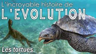 Aux origines des tortues  Évolution  Paléontologie  Simplex Paléo [upl. by Ayaet]