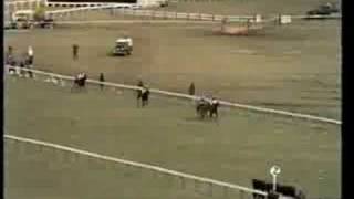 LEscargot 1970 Cheltenham Gold Cup [upl. by Eelimaj]