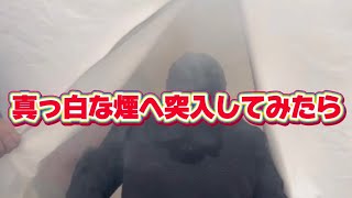 愛知県豊橋市 火事の体験バチクソしてみた！ [upl. by Attoynek]