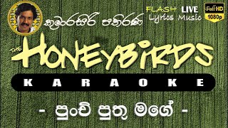 Punchi Puthu mgae Karaoke Without Voice පුංචි පුතු මගේ කැරෝකේ [upl. by Margalo357]