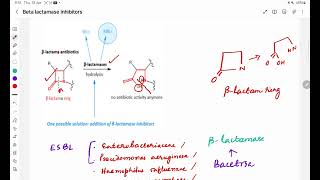 Betalactamase inhibitors [upl. by Rosenblum]