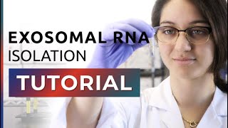 How to Isolate Exosomal RNA From Exosomes [upl. by Yerffe]