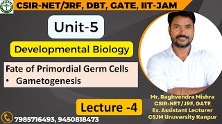 Fate of Primordial Germ Cells  Gametogenesis  L4  Unit5 𝐆𝐞𝐧𝐞𝐬𝐢𝐬 𝐈𝐧𝐬𝐭𝐢𝐭𝐮𝐭𝐞 𝐨𝐟 𝐋𝐢𝐟𝐞 𝐒𝐜𝐢𝐞𝐧𝐜𝐞𝐬 [upl. by Seaver]